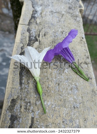a picture of white and purple flowers on the wall
