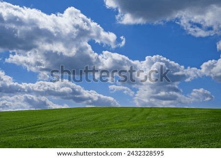 Meadow, landscape and blue sky with clouds for environment, sustainability and perspective in summer. Beauty, nature and field of green grass for eco friendly, growth and horizon of countryside
