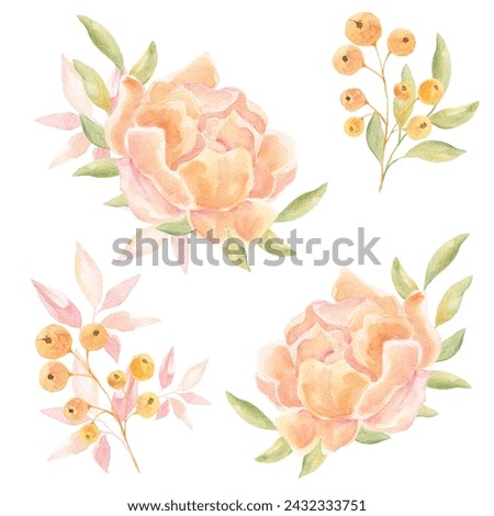 Hand drawn watercolor set of delicate watercolor peach flowers. Clip art. A set for decorating postcards. Texture. Painted flowers. Spring. Wedding.