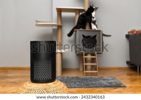 air purifier in the area with pets or cat. Air Pollution Concept. Air purifier, filters out invisible viruses, allergens or pollutants in the house on a cat tree background. Cute cat and Air purifier Royalty-Free Stock Photo #2432340163