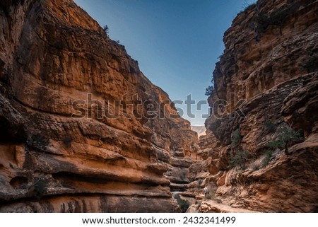 el khocha in el kantara biskra Algeria 
09282019
a hidden canyon in el kantara called el khocha 
a beautiful nature with old rivers and some big rock look like snake canyon  Royalty-Free Stock Photo #2432341499