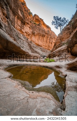 el khocha in el kantara biskra Algeria 
09282019
a hidden canyon in el kantara called el khocha 
a beautiful nature with old rivers and some big rock look like snake canyon  Royalty-Free Stock Photo #2432341505