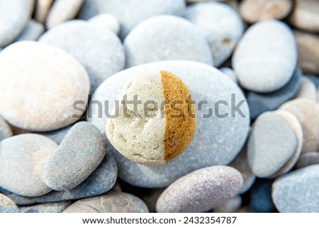 A bicolored pebble stands out among a bed of gray stones, highlighting nature's diverse palette and textures