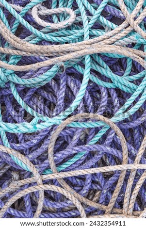 Amble, Morpeth, Northumberland, England, Great Briton, United Kingdom. Purple and green ropes on the docks of Amble. Royalty-Free Stock Photo #2432354911
