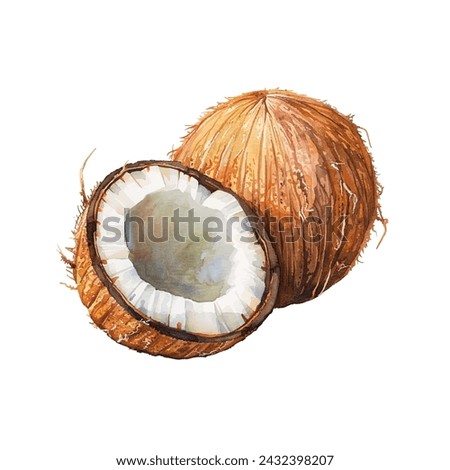 coconut water vector illustration in watercolour style