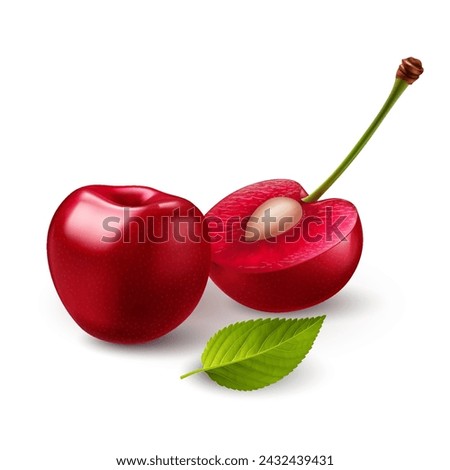Illustration of smooth-skinned, ripe red sweet cherries with green leave, juicy light red flesh, and small pit, on a white backdrop Royalty-Free Stock Photo #2432439431