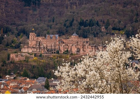 Image of an old castle on a mountain. Photography of Heidelberg Castle. Pictures from Heidelberg