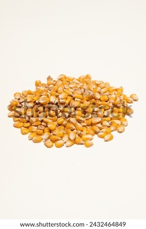 full of corn seed or maize on a white background isolated
