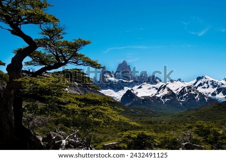 Iconic Fitz Roy peak towers over lush greenery, framed by snow-capped mountains in Patagonia's breathtaking panorama