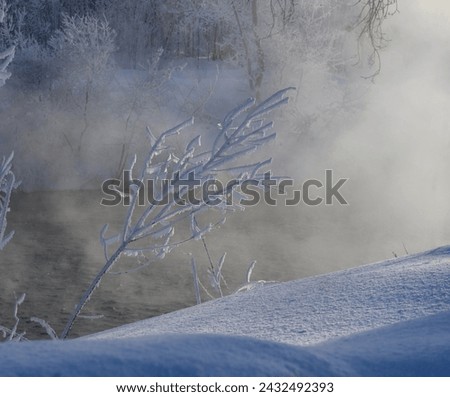 Winter landscape with fog and trees on the shore of a frozen lake
