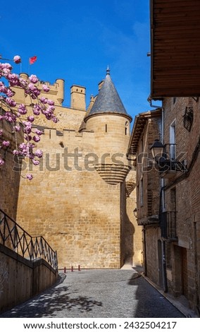 Olite Castle, also known as the Palace of the Kings of Navarre, in Navarre, Spain. This medieval castle-palace was one of the seats of the Court of the Kingdom of Navarre, and is considered one of the