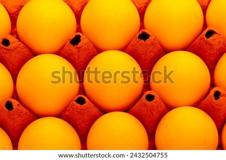 Close-up of white eggs in egg box under orange light.