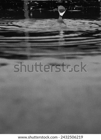  Black and white water drop pictures 