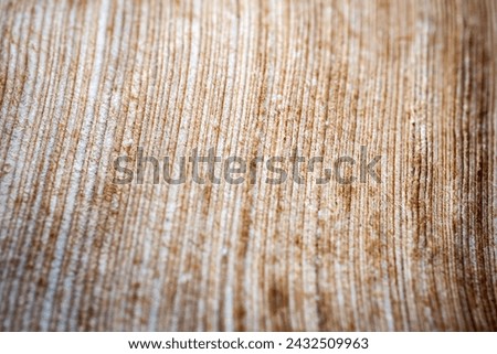 Extreme closeup of an old book from the side. Selective soft focus, shallow depth of field. Bibliophile, bookworm abstract background