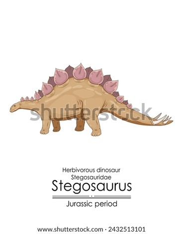 Stegosaurus, herbivorous, armored dinosaur from the Jurassic period. 