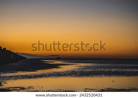 Sunrise with reflections in the sea and a bird flying over a Camargue beach