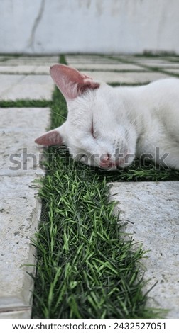A beautiful white cat with pink nose sleeping peace fully on a comfortable green grass terrain looks like a tiger but a cute one