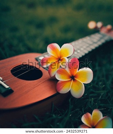 Stunning Ukulele pic with some Plumeria flowers on top||premium Photography 