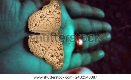 butterfly on hand images, Butterfly Hand Pictures, 