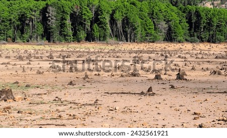 Near Porto-Vecchio, in the heart of Alta Rocca, Lake U Spidali is nestled between road and mountains. Due to the drought, the water level has dropped, revealing tree stumps cut before impoundment Royalty-Free Stock Photo #2432561921