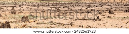 Near Porto-Vecchio, in the heart of Alta Rocca, Lake U Spidali is nestled between road and mountains. Due to the drought, the water level has dropped, revealing tree stumps cut before impoundment Royalty-Free Stock Photo #2432561923