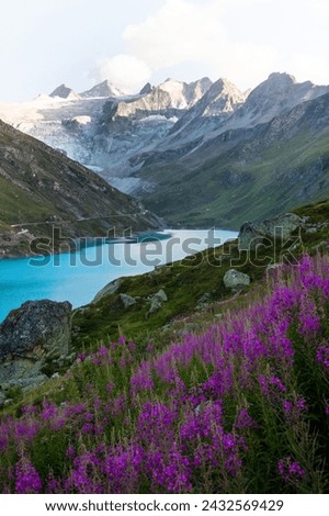 Switzerland mountain landscape, photographed by a professional nature photographer.