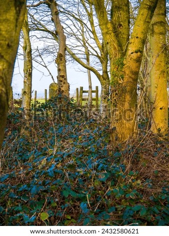 wooden Stile on a woodland walk on the edge of the industrial town of Burnley in Lancashire England Royalty-Free Stock Photo #2432580621