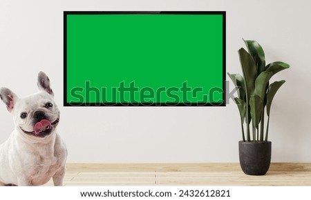Green screen television with a cute beautiful dog on room background..
