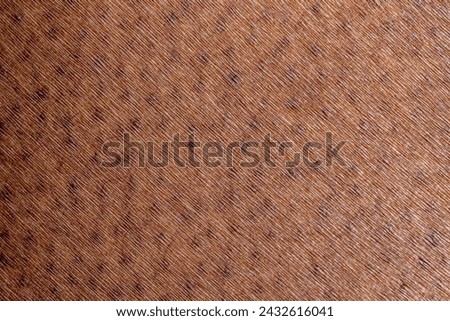 Close-up of detailed dark brown skin texture