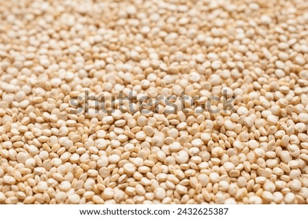 White Quinoa background Stock Photos