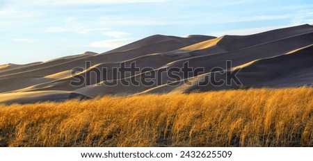 sand dune in golden hour with long grass in the foreground 