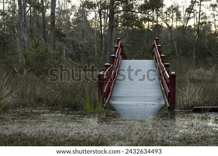 A small foot bridge with the entry half submerged in water after a heavy rain