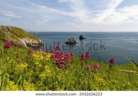 Beautiful seaside landscape on a sunny day. Brixham Devon UK.