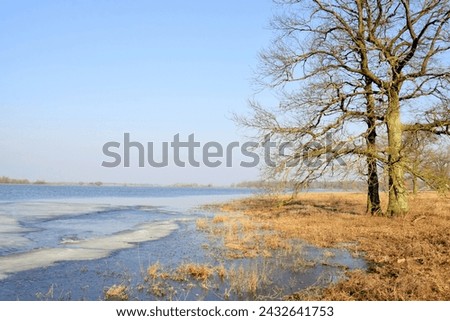 Spring landscape. The flood of a large river on a spring morning