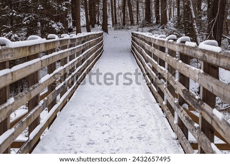 Winter frozen wooden bridge lake copy space image