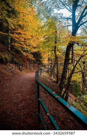 Magical autumn in Ordesa and Monte Perdido: the Arazas river emerges among the orange-tinted forests, a spectacle of nature in the Aragonese Pyrenees.
