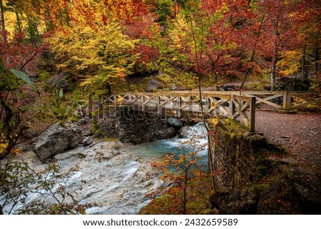 Between the golden forest of Ordesa and Monte Perdido: the Arazas river breaks through, a breathtaking picture of nature in autumn, in the Aragonese Pyrenees.
