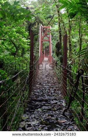 national park costa rica monteverde 