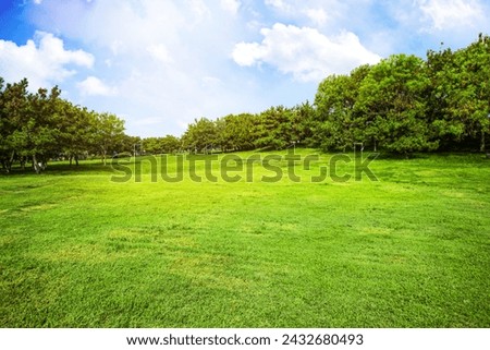 Green field  tree and blue sky great background  beautiful banner