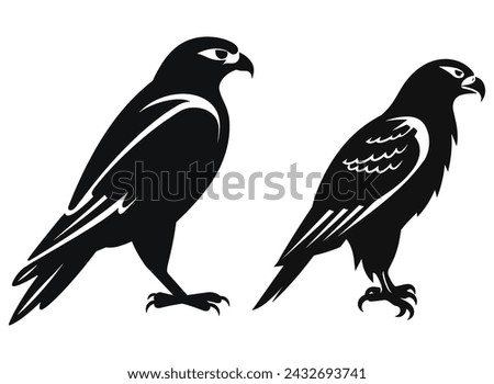 Falcon black Silhouette vector, white background.
