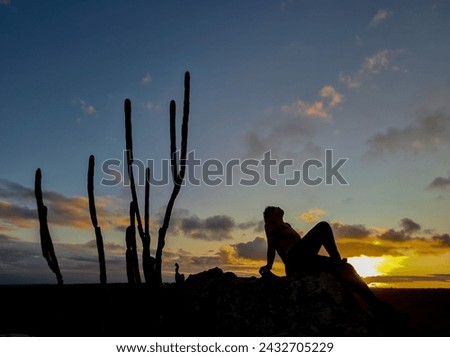 Silhouette of woman at sunset in the desert