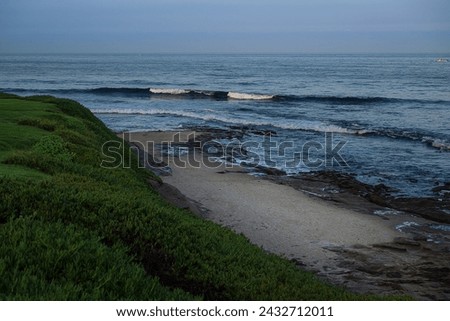 A SHADY PORTION OF THE LA JOLLA SHORELINE WITH LIGHT WAVES AND GREEN FOLIAGE NEAR SAN DIEGO CALIFORNIA