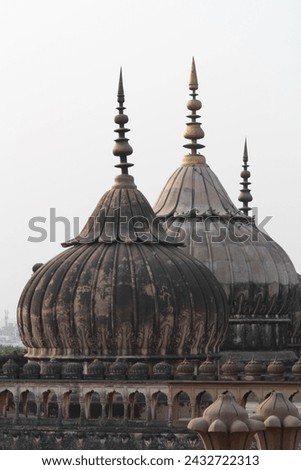 lucknow famous architecture  imamabara and rumi darwaja detail images 