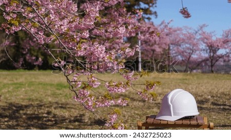 Hard hat and cherry blossoms.industrial image.