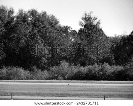 A black and white landscape photo of the Winter Haven, Florida airport.