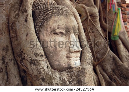 Buddha Head in Tree Roots (Ayutthaya, Thailand)
