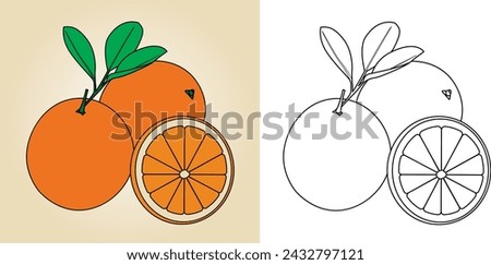 Orange fruit illustration, coloring page for kids, the main object separate from the background