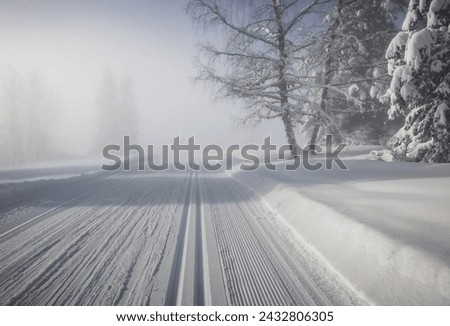 
Nordic ski slope in the morning mist