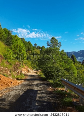 In the morning haze, a mountain road winds through lush greenery, disappearing into the misty distance under a canopy of pine trees and clouds.

Location: Simli, Karnaprayag, India
Date: 21 Sep 2021 Royalty-Free Stock Photo #2432815011
