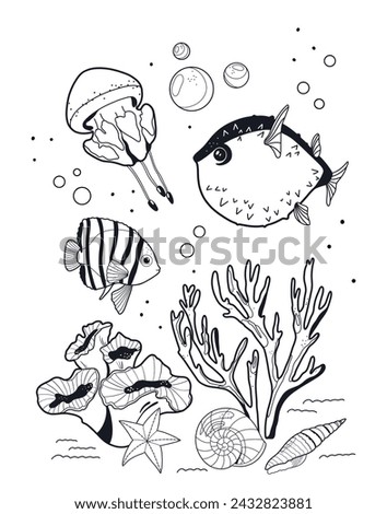 Fish, jellyfish, seaweed and algae for coloring book and coloring page